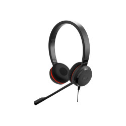 Jabra EVOLVE 20 MS Duo	
